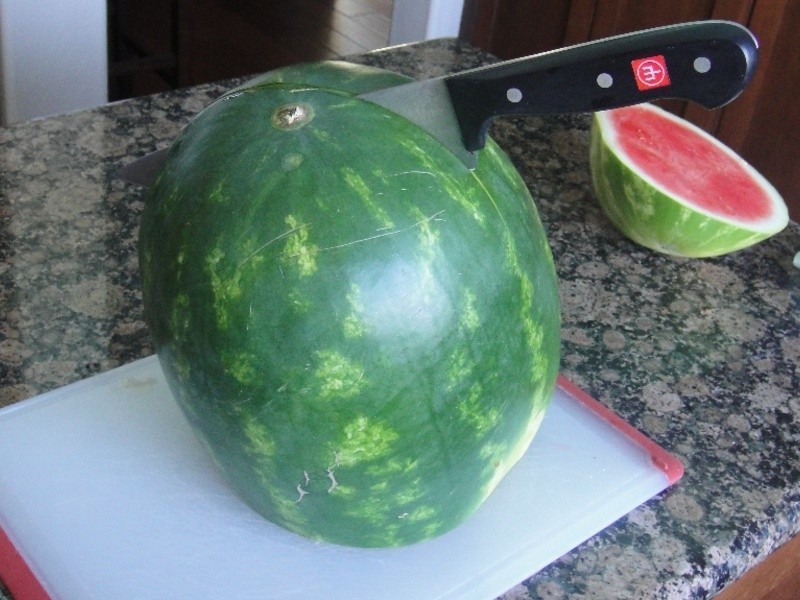 ��������ȫ���������