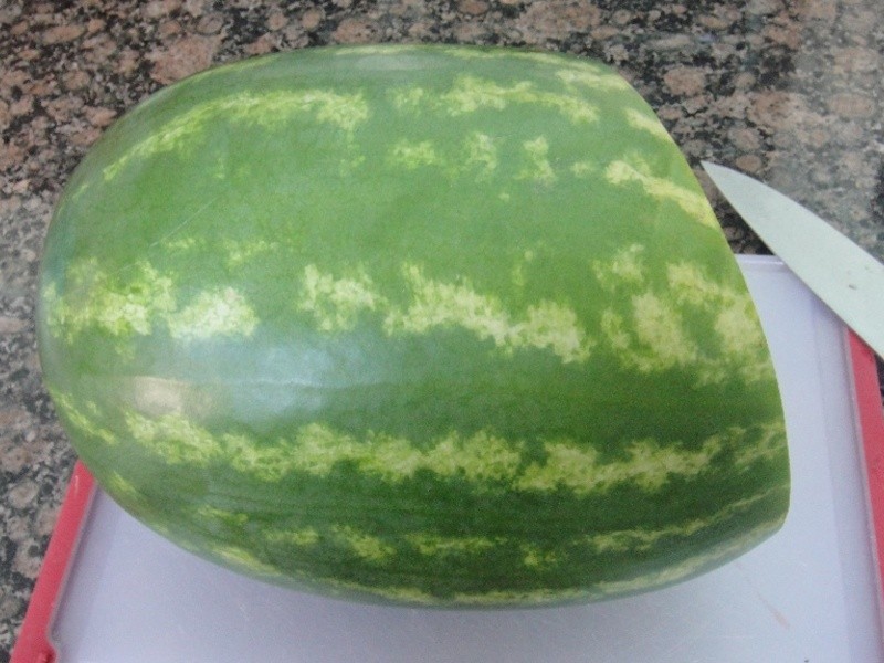 ��������ȫ���������