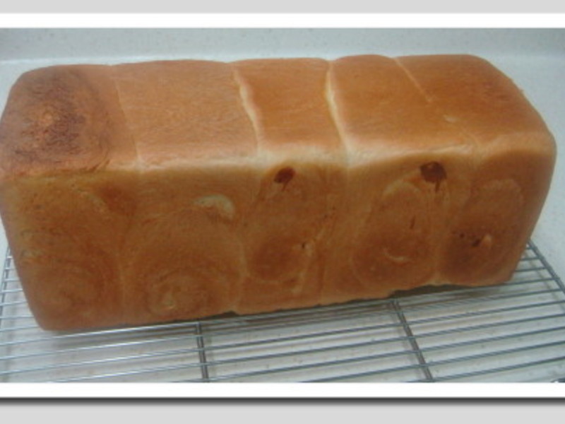 ��˾�������������