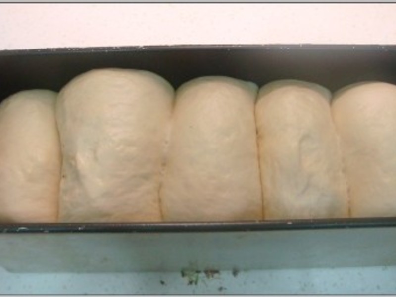 ��˾�������������