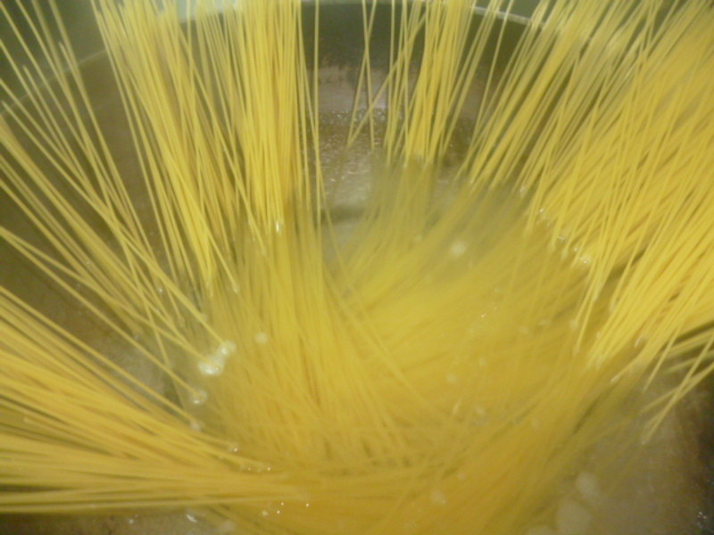 [�����һ�������]������Ұ׽�ϸ�������