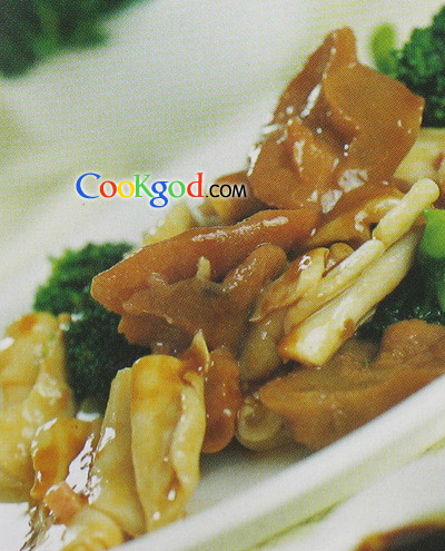 ɳ���ܶ������ϵ�����