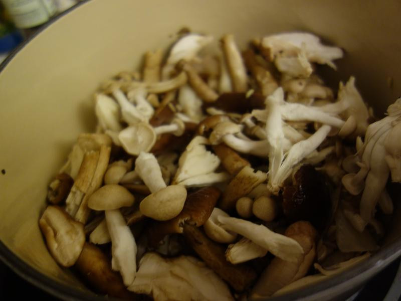 Ұ����������������