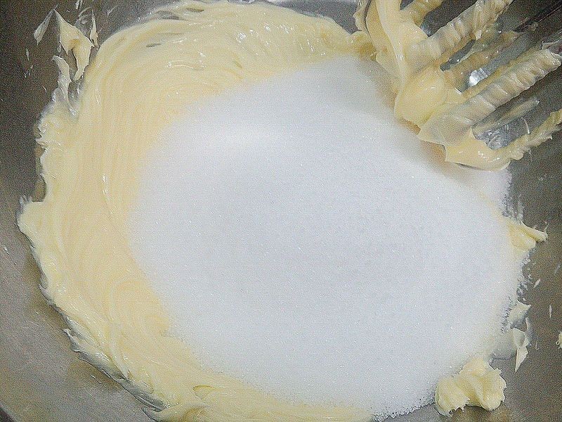 �����Ÿ��ӵ��������