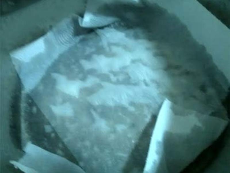 ������ع�?������