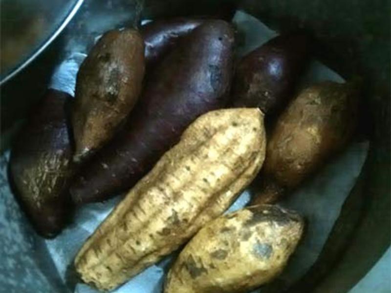 ������ع�?������