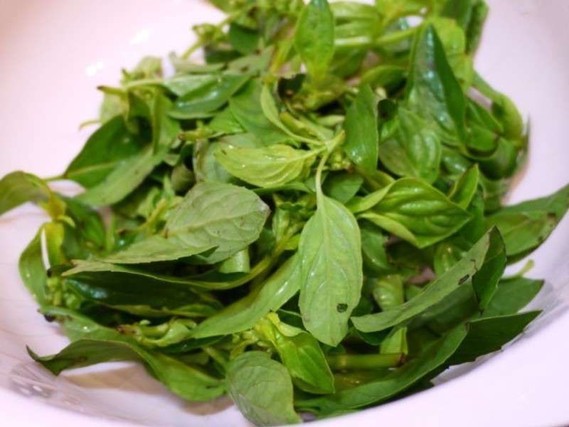 ������ʳ-���㸯Ƥ������