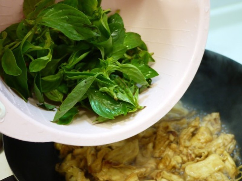 ������ʳ-���㸯Ƥ������