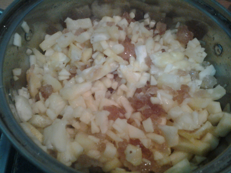 Y�ҵ�С����--����ƻ����������