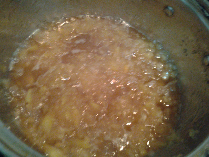 Y�ҵ�С����--����ƻ����������