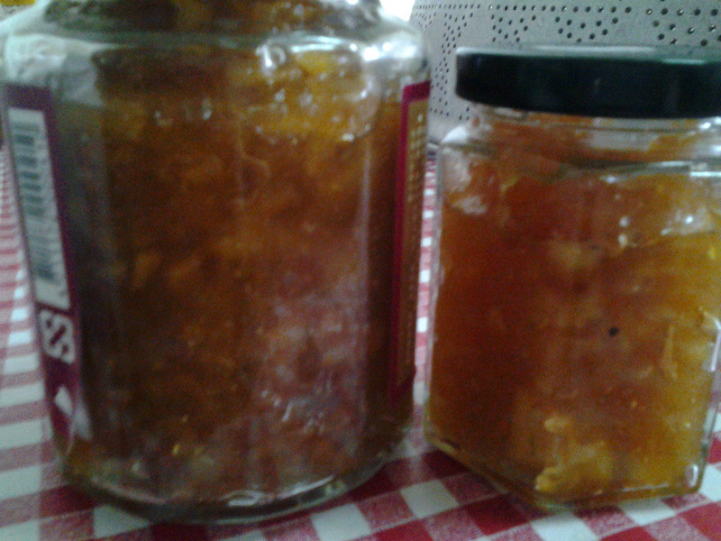 Y�ҵ�С����--����ƻ����������