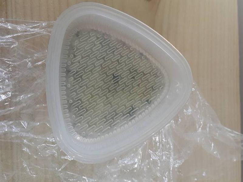 ���������͵�����