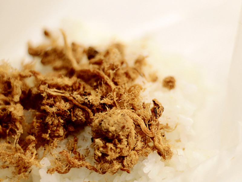 �����֮�˿����ŵ�����