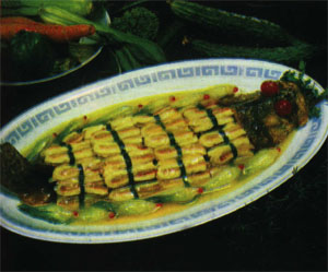 ��ѹ��������