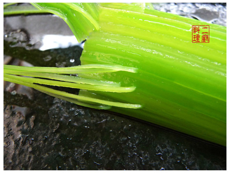 ���������۵�����