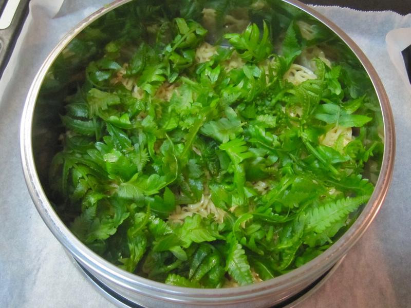 ����Ұ�˺���������������