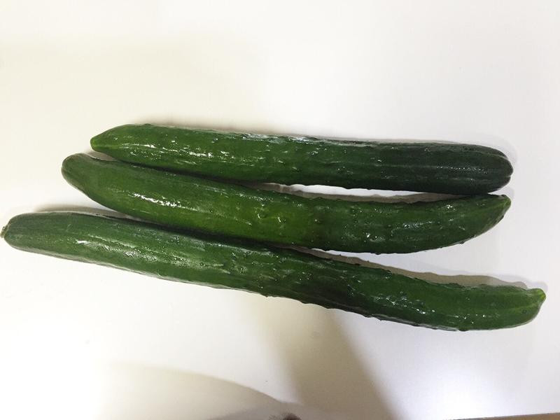 ������ˬ����С�ƹϵ�����