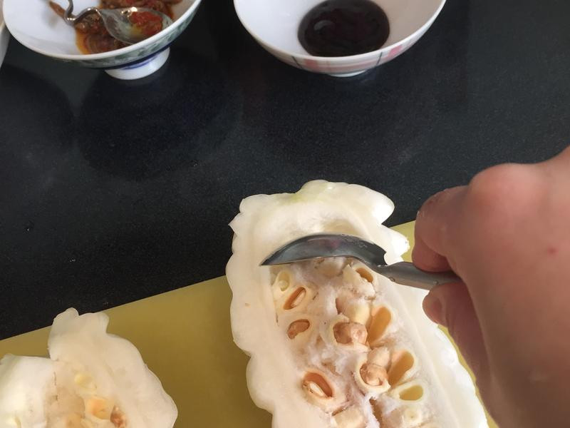 �Ʋ��ӿ�ϵ�����