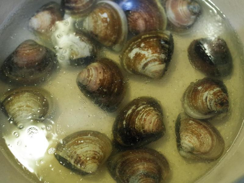 Ӣ���������ɴ�Ũ��������