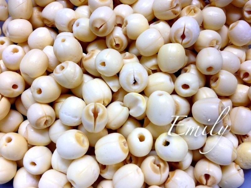 �����������Ӻ�����������