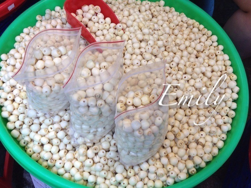 �����������Ӻ�����������