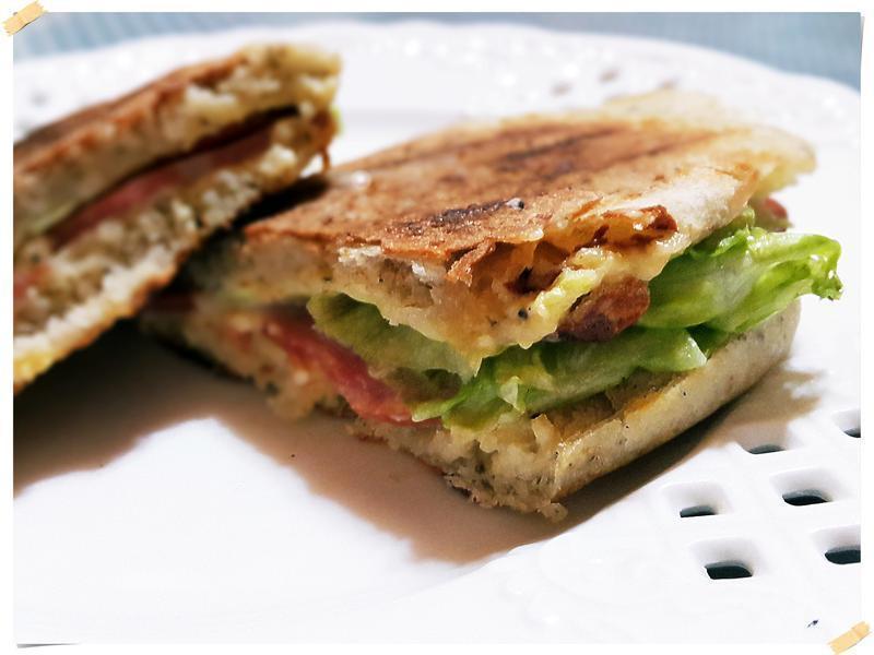 ����ŵpanino����������ε�����