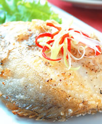 �ɼ����������