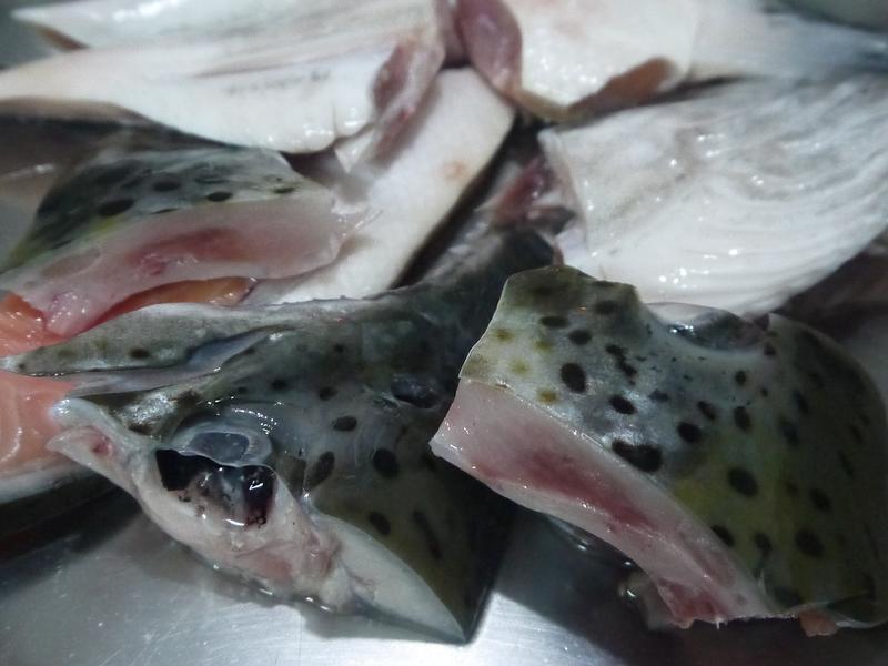 ����ζ����[����ζ����]������