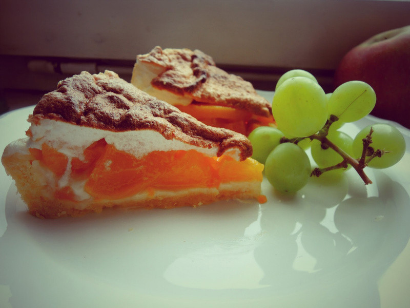 ���ӵ����ɵ�����