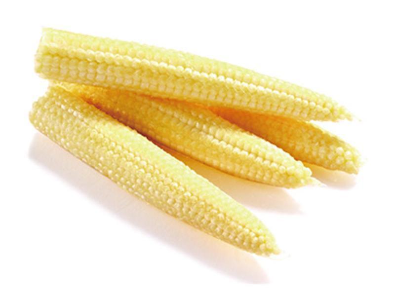 ��Ҭ�˳������������