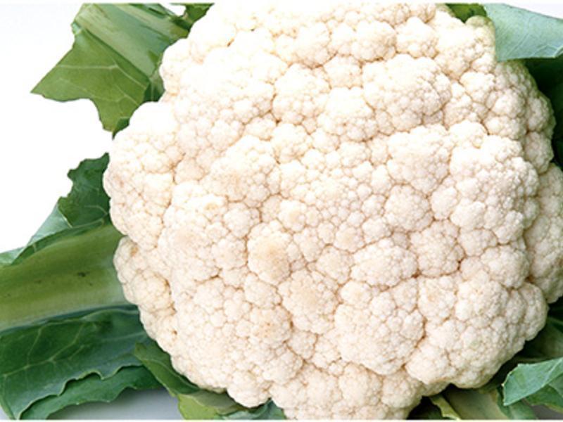 ��Ҭ�˳������������