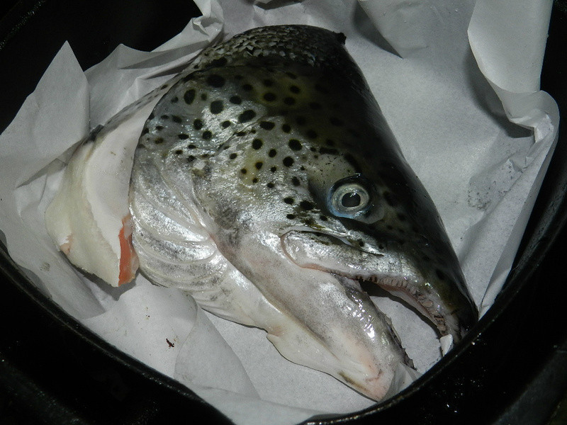 ������ͷ������