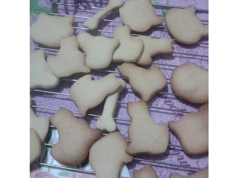 ���ֲ��������� ���۱��ɵ�����