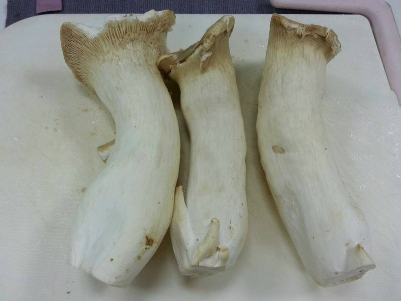 ���������������-��ʳ����˿������