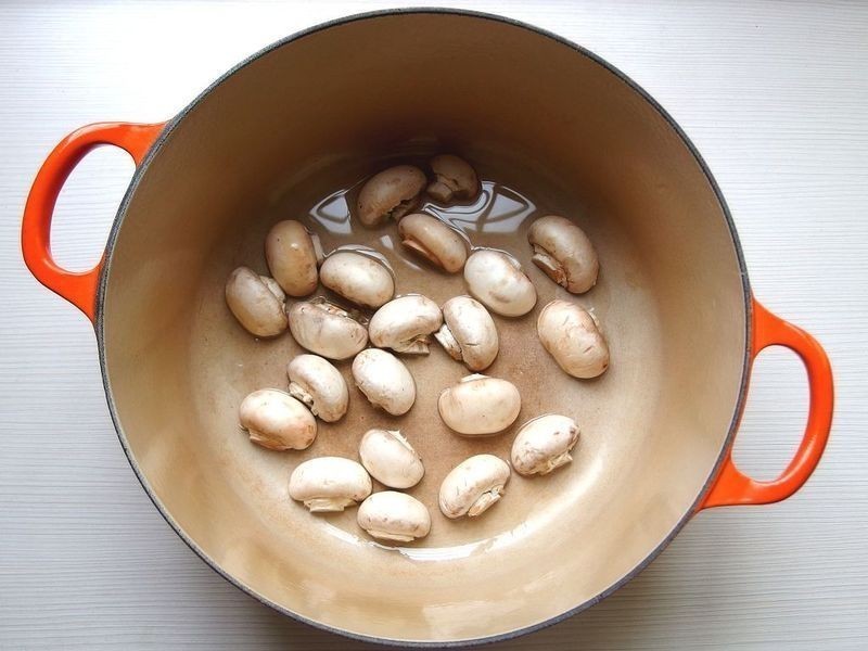 ӡ�ȿ���(��ʳƪ)������