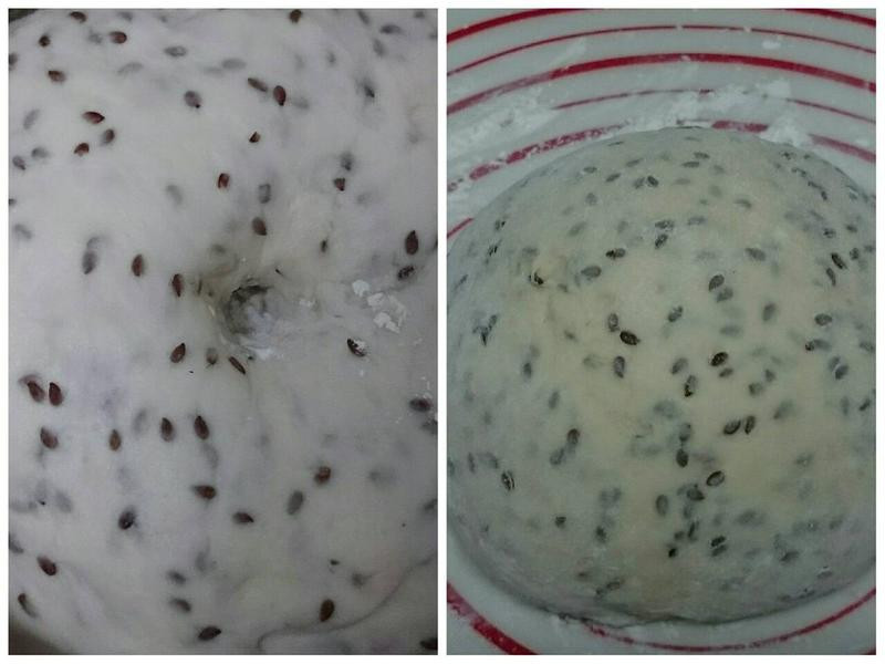 �����������ѲͰ�������