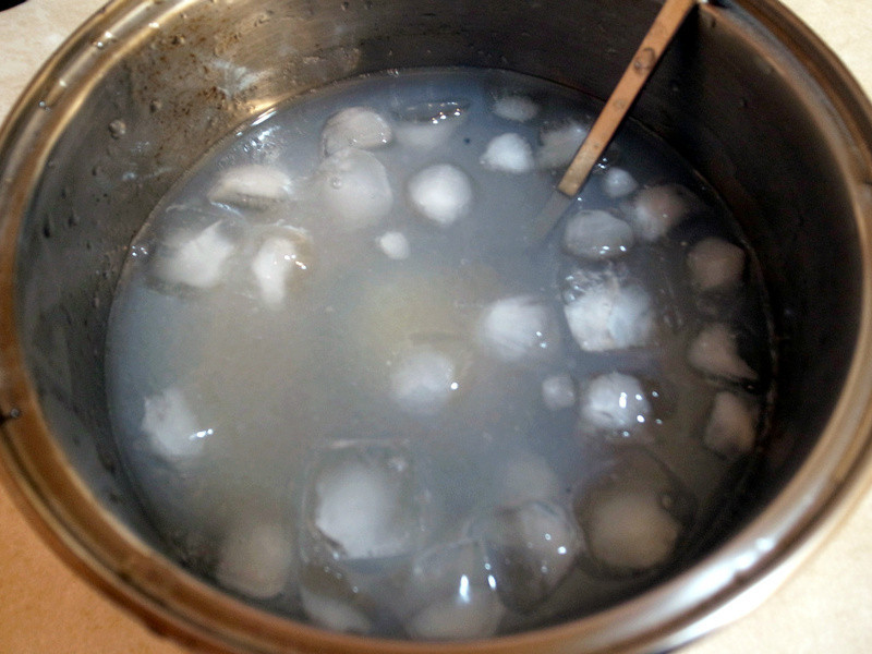 ����Ҭ������¶������