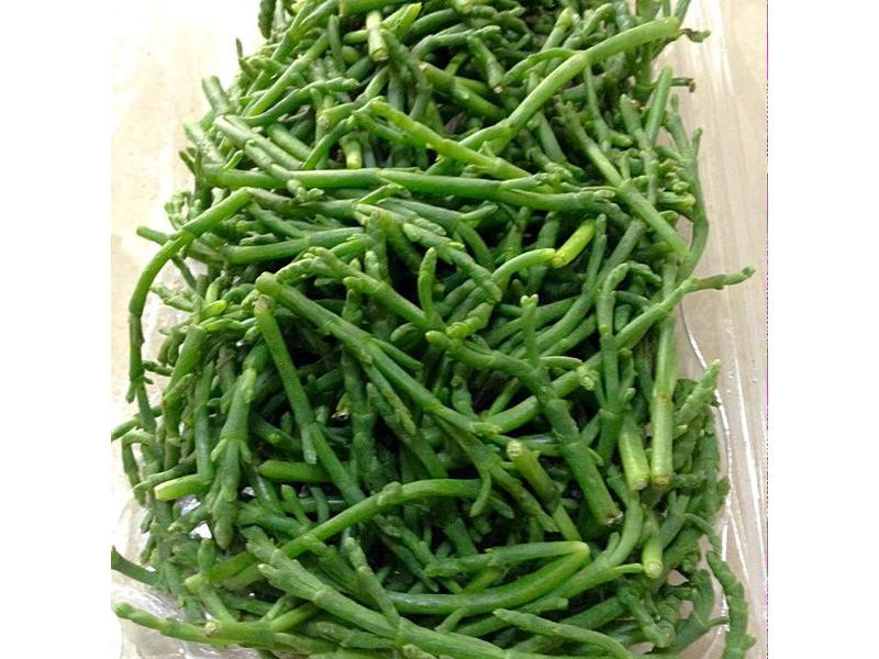 ��«��ɳ��������