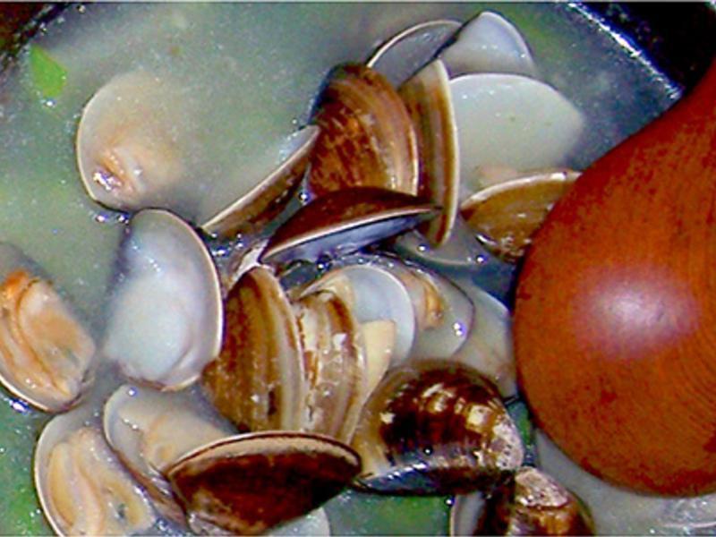 ��˿����˿�ϵ�����