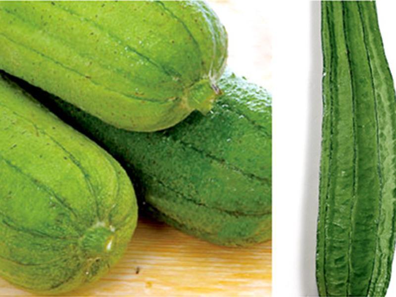 ��˿����˿�ϵ�����