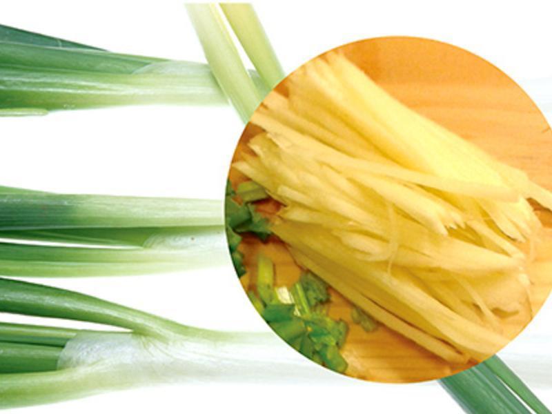 ��˿����˿�ϵ�����