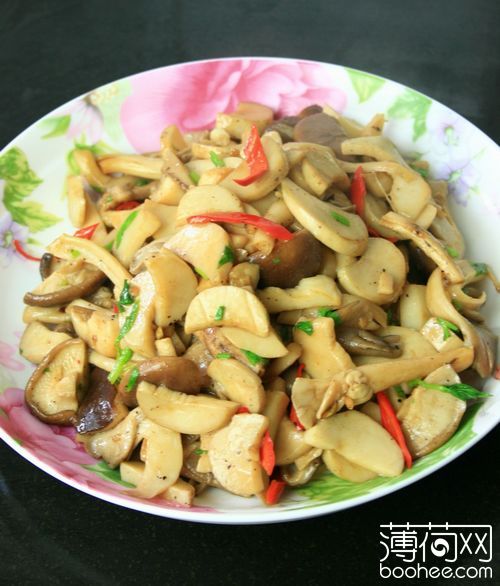 �ں�������Ģ��������