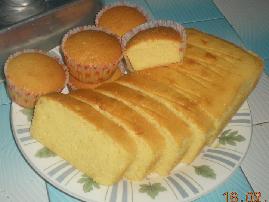 ţ�͵��⡫����������