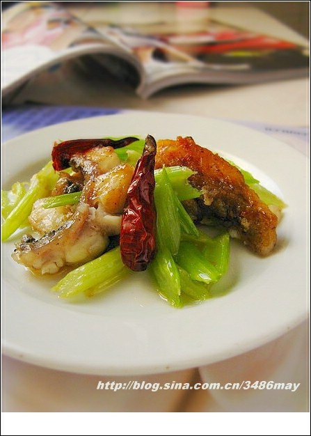 ���|��Ƭ������