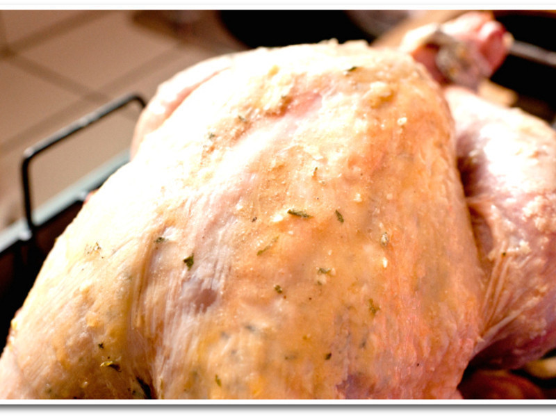 [������ζ����]�ж���������ݿ��𼦵�����