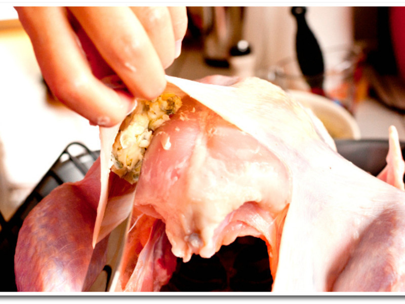 [������ζ����]�ж���������ݿ��𼦵�����