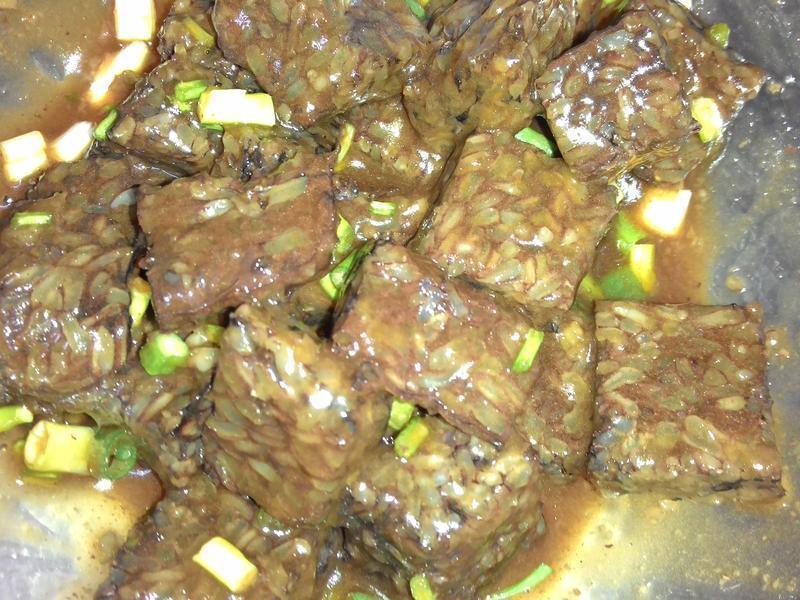 ������Ѫ�������