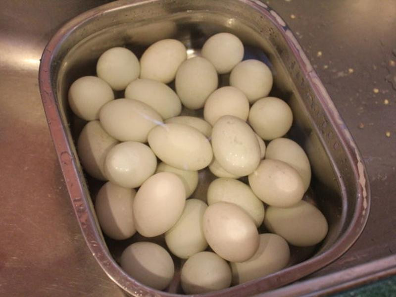 ������Ѽ��������