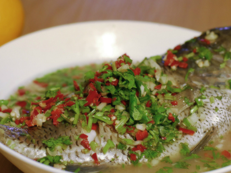 Խʽ�����������