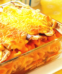 �⽴����Ƭ������